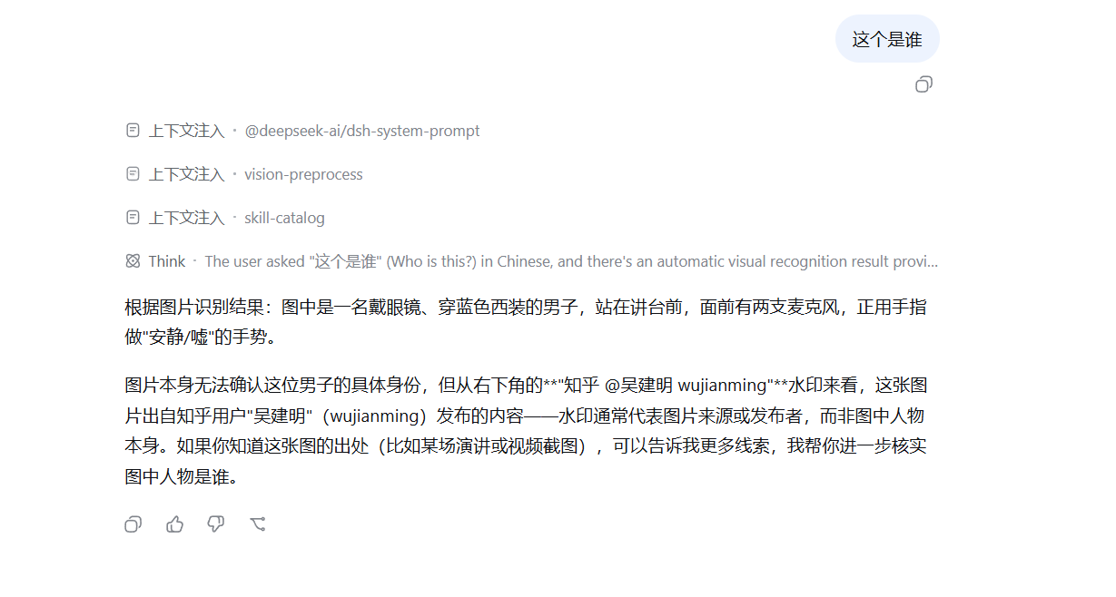 DeepSeek 基于视觉描述生成的最终回答
